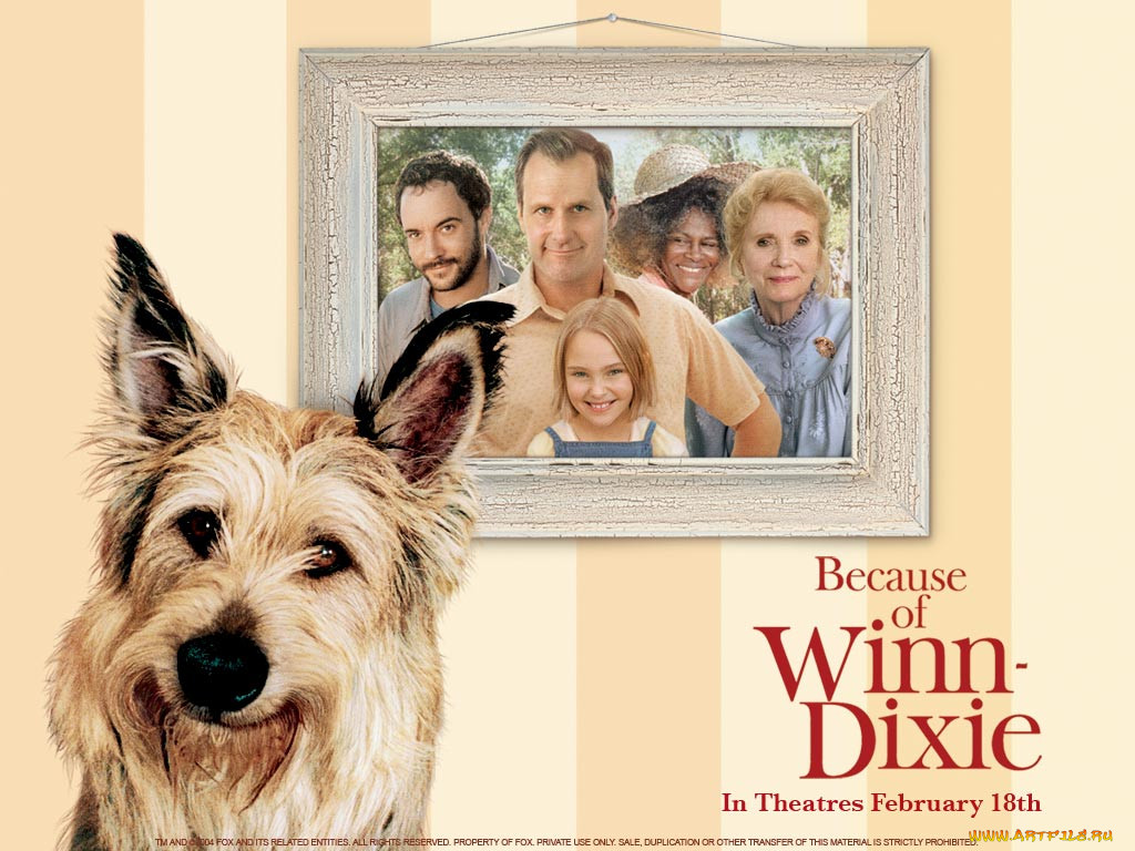 because, of, winn, dixie, , 